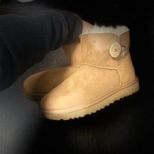Uggs shoes